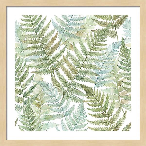 Fern Fronds Watercolor Delight