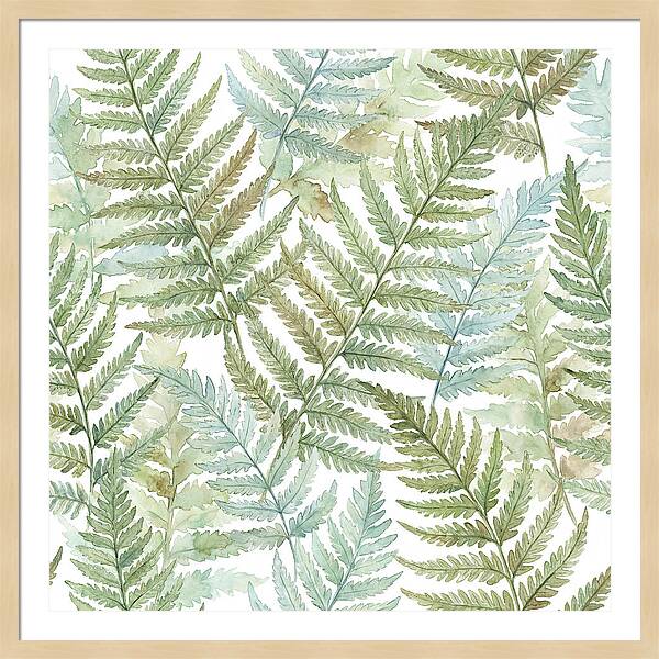 Fern Fronds Watercolor Delight