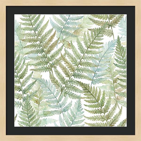 Fern Fronds Watercolor Delight