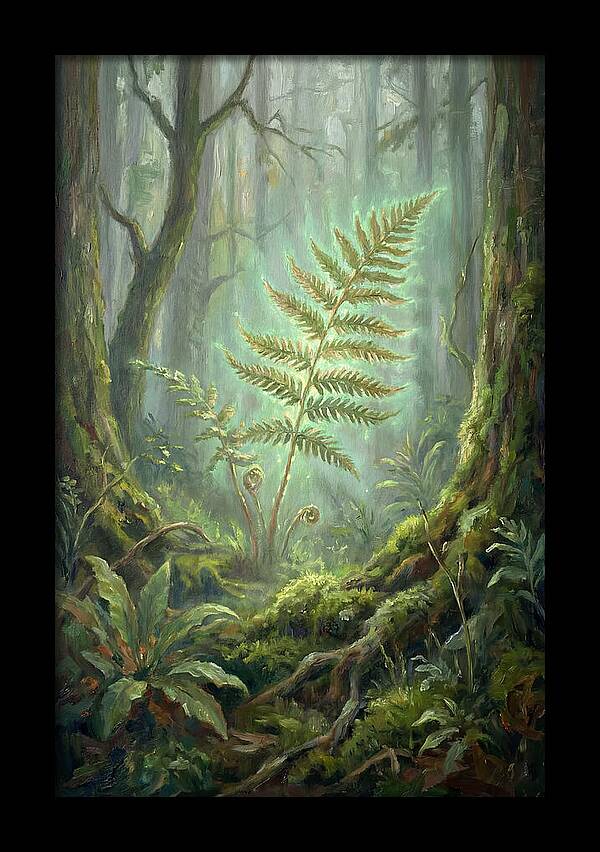 Fern In Enchanted Forest