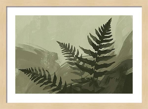 Fern Silhouettes Against Soft Background