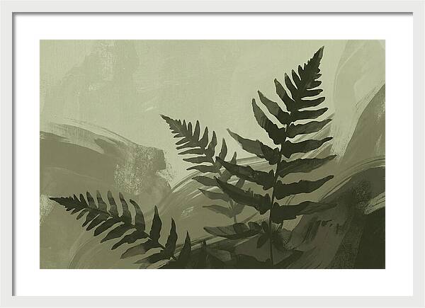 Fern Silhouettes Against Soft Background