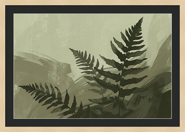 Fern Silhouettes Against Soft Background