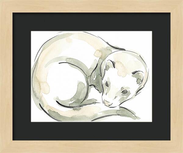 Ferret In Watercolor Elegance