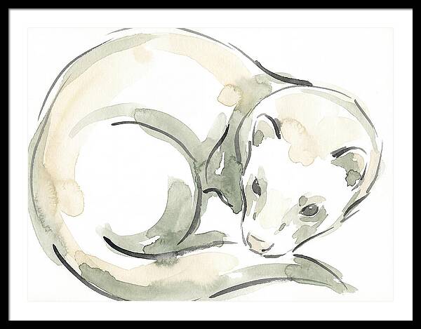 Ferret In Watercolor Elegance