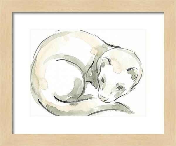 Ferret In Watercolor Elegance
