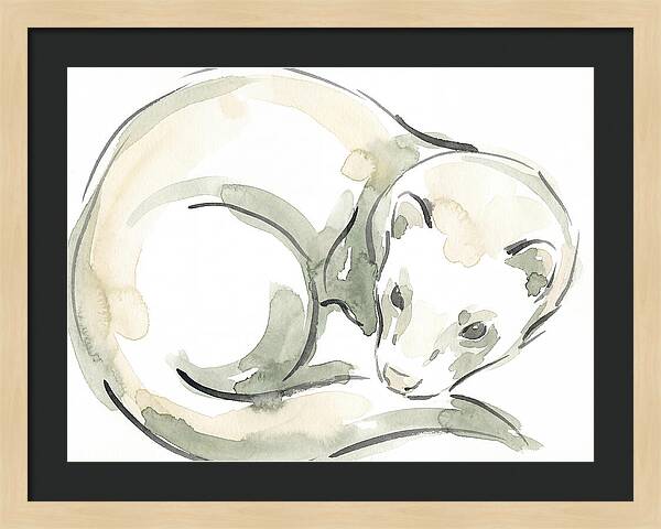 Ferret In Watercolor Elegance