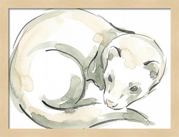Ferret In Watercolor Elegance