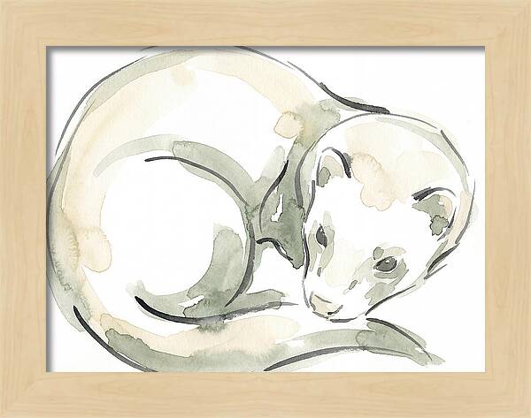 Ferret In Watercolor Elegance
