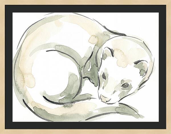 Ferret In Watercolor Elegance