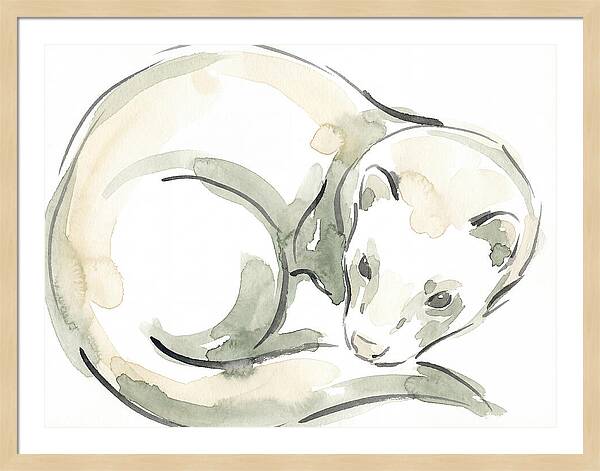 Ferret In Watercolor Elegance