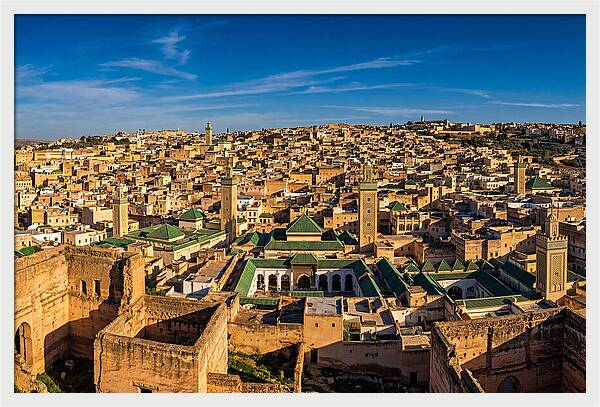 Fez Medina From Merenid Tombs