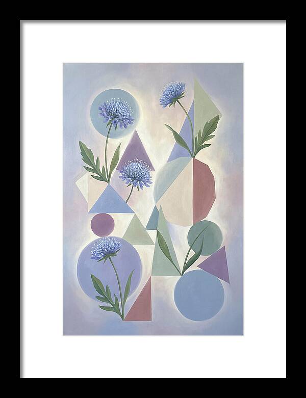 Field Scabious Blossoms