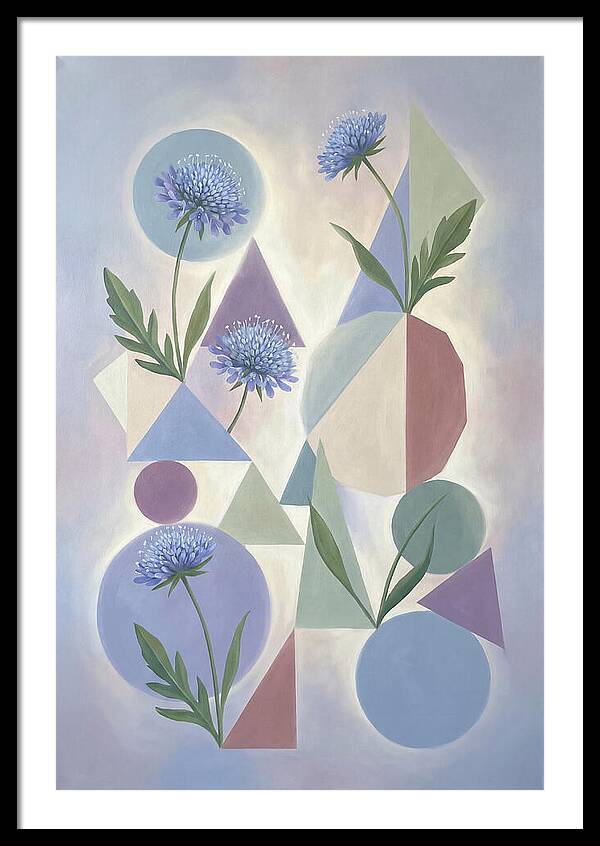 Field Scabious Blossoms
