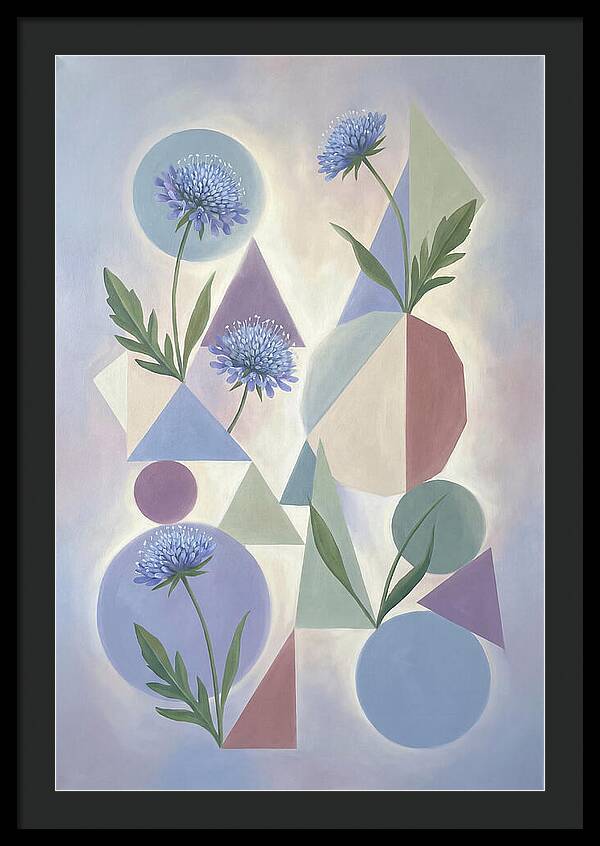 Field Scabious Blossoms