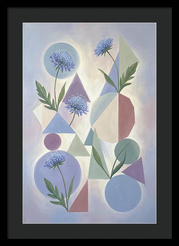 Field Scabious Blossoms