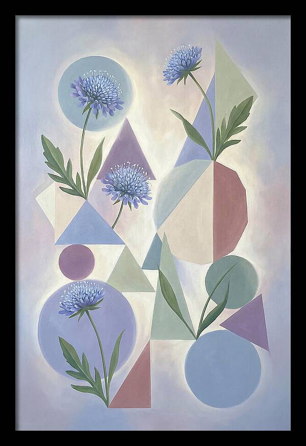 Field Scabious Blossoms