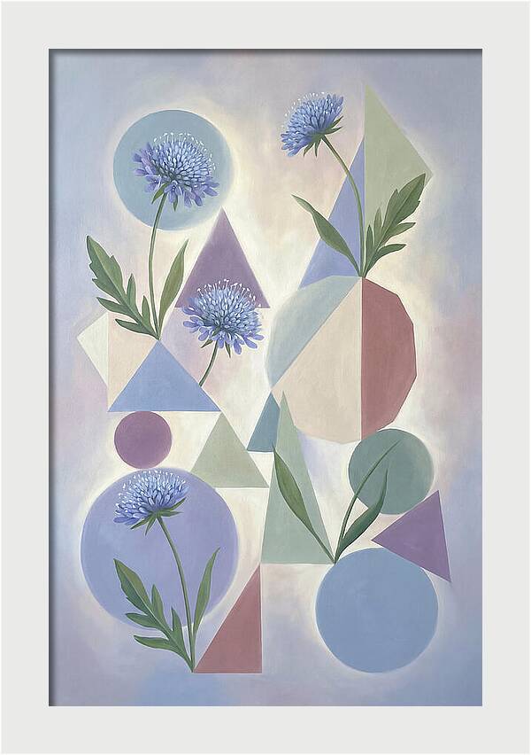 Field Scabious Blossoms