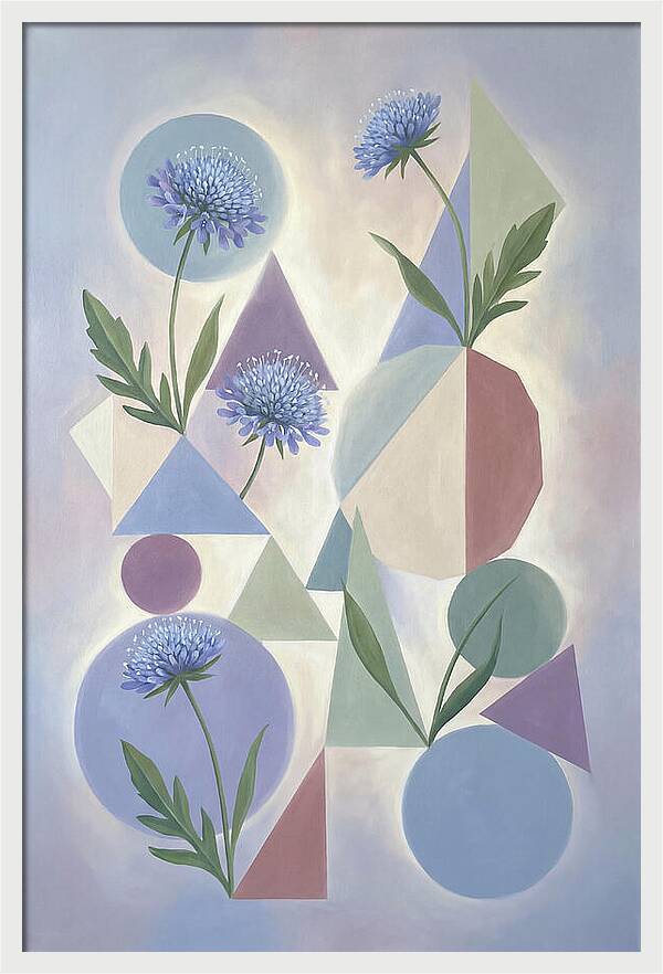Field Scabious Blossoms