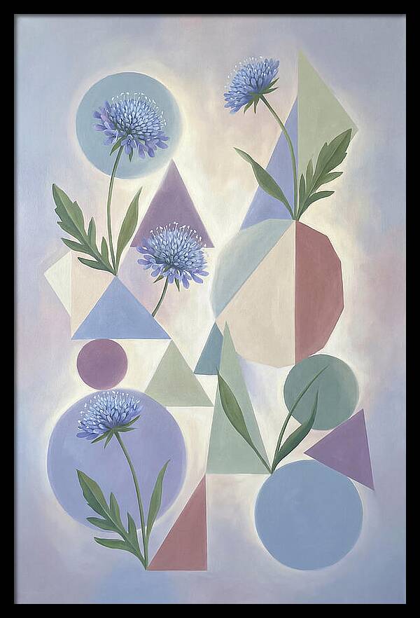 Field Scabious Blossoms