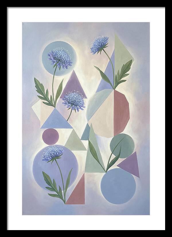 Field Scabious Blossoms