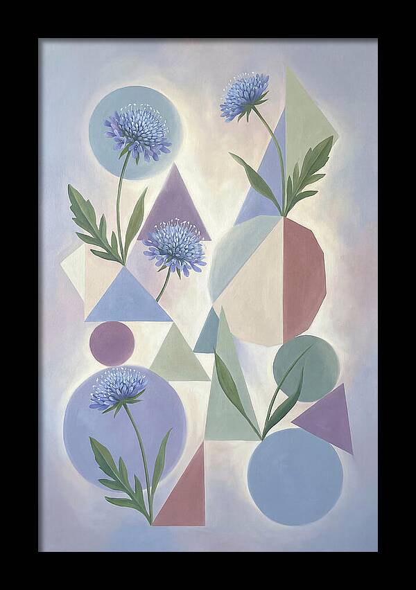 Field Scabious Blossoms