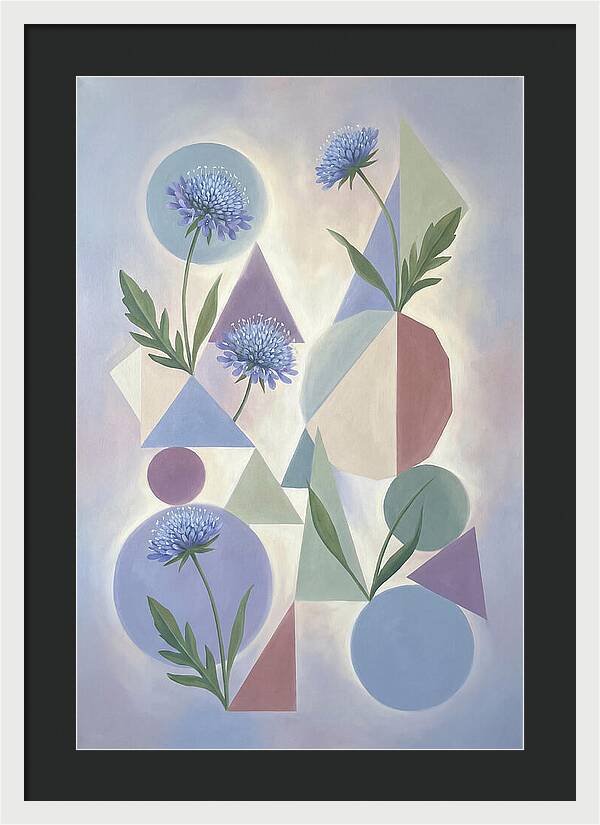 Field Scabious Blossoms