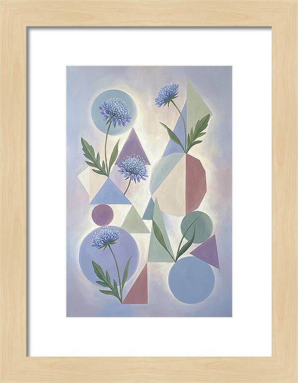 Field Scabious Blossoms