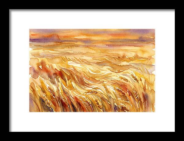 Fields Of Golden Grain