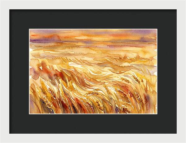 Fields Of Golden Grain
