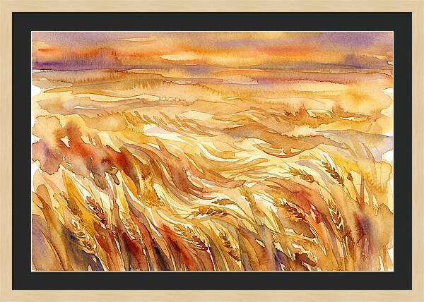 Fields Of Golden Grain