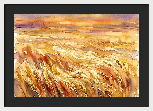 Fields Of Golden Grain