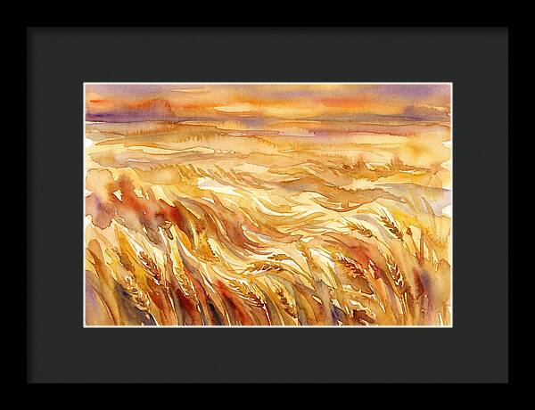 Fields Of Golden Grain