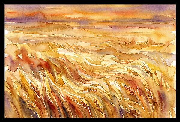Fields Of Golden Grain
