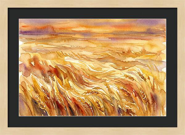 Fields Of Golden Grain