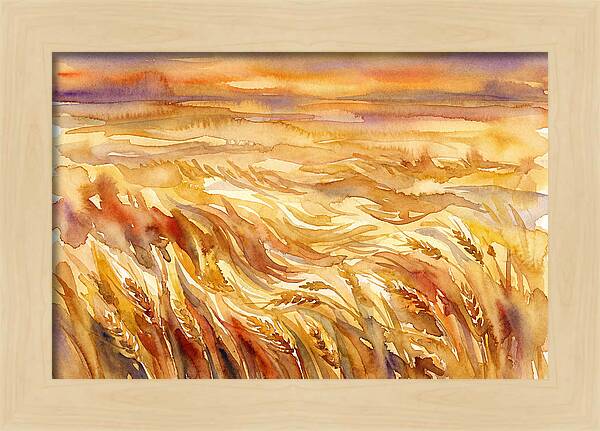 Fields Of Golden Grain