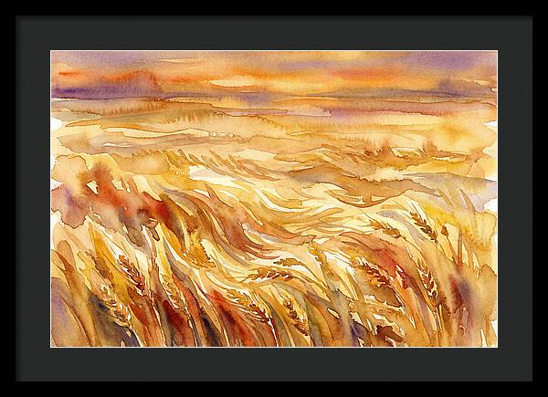 Fields Of Golden Grain