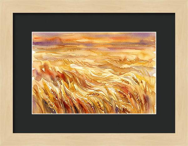 Fields Of Golden Grain
