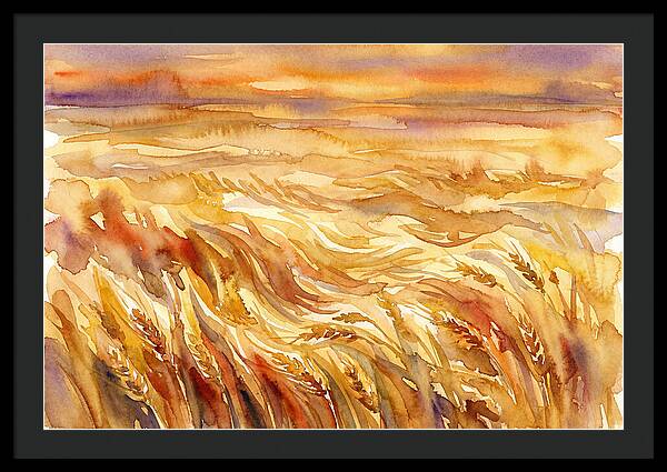 Fields Of Golden Grain