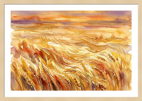 Fields Of Golden Grain