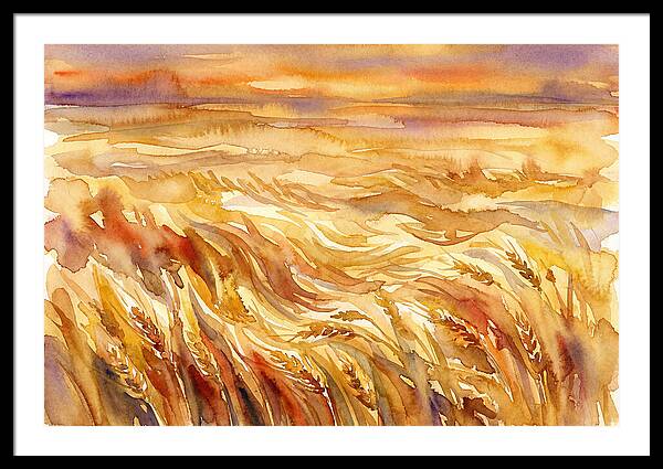 Fields Of Golden Grain