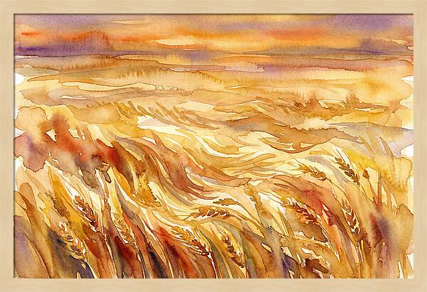 Fields Of Golden Grain