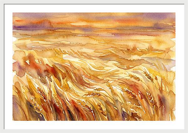 Fields Of Golden Grain