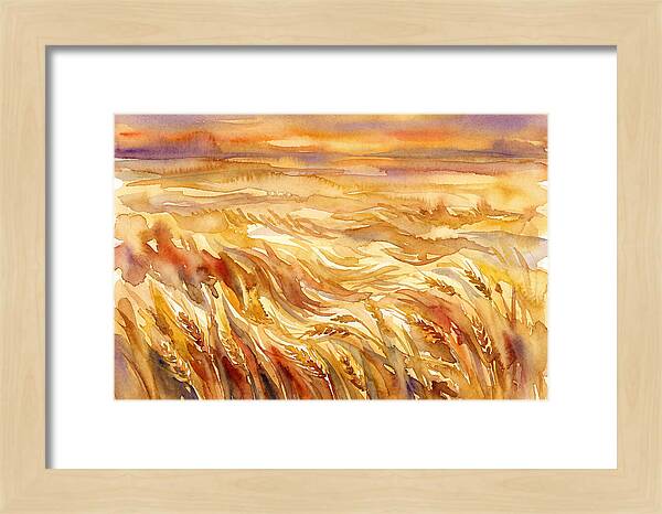 Fields Of Golden Grain