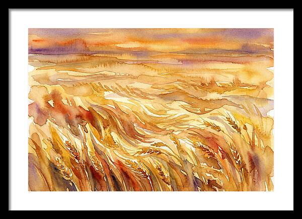 Fields Of Golden Grain