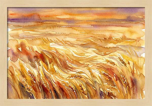 Fields Of Golden Grain