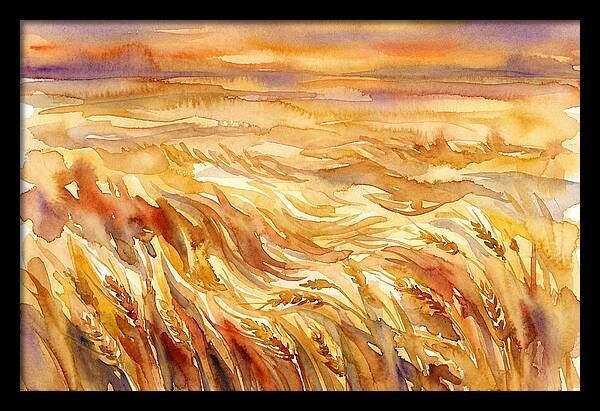 Fields Of Golden Grain