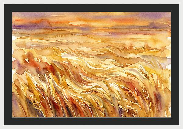 Fields Of Golden Grain
