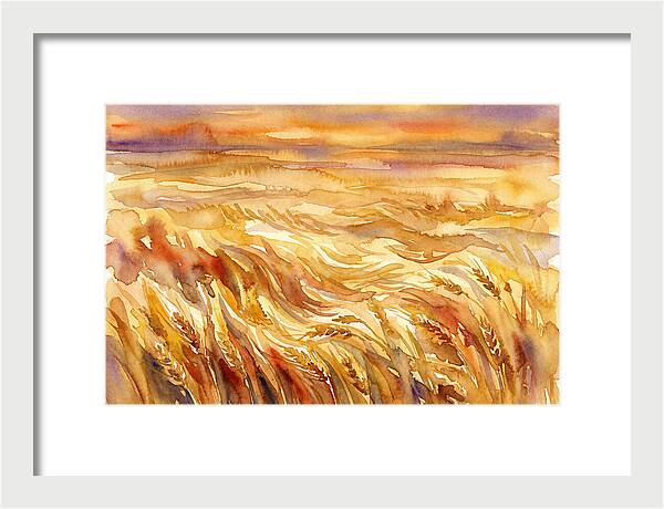 Fields Of Golden Grain