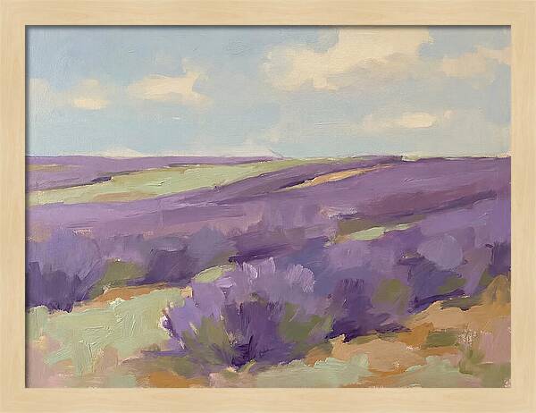 Fields Of Lavender Serenity
